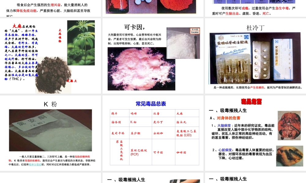 珍爱生命、拒绝毒品完整版PPT