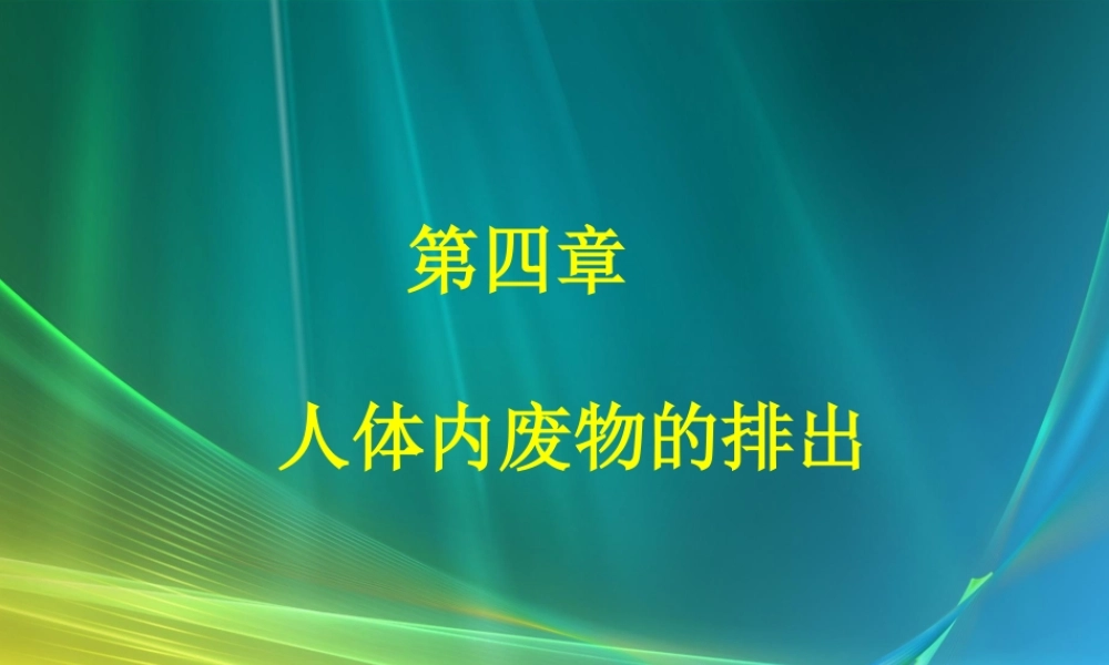 七年级生物下册第四章人体内废物的排出课件济南版
