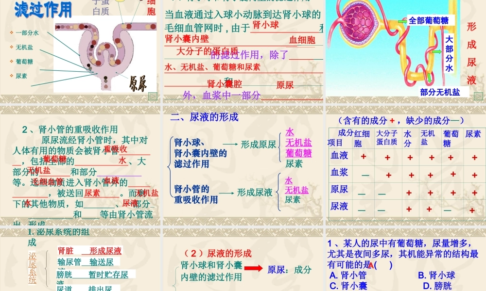 七年级生物下册第四章人体内废物的排出课件济南版