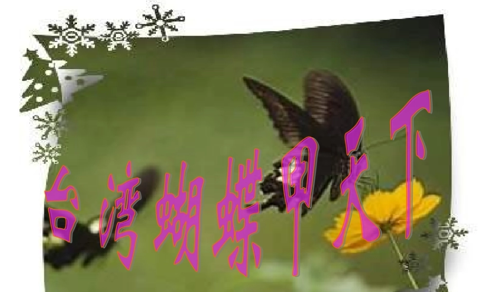 台湾蝴蝶甲天下PPT课件