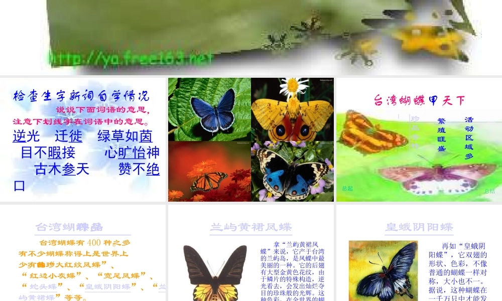 台湾蝴蝶甲天下PPT课件