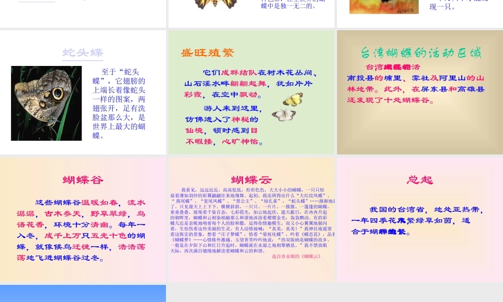 台湾蝴蝶甲天下PPT课件