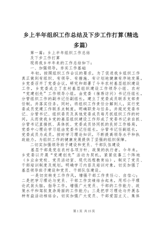 乡上半年组织工作总结及下步工作打算(精选多篇)