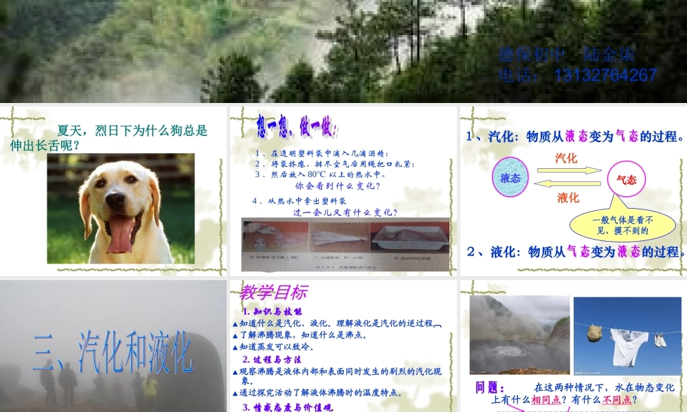 ()汽化和液化