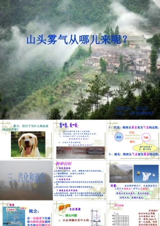 ()汽化和液化