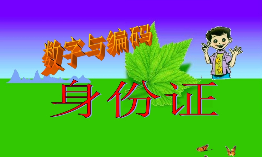 数字与编码身份证
