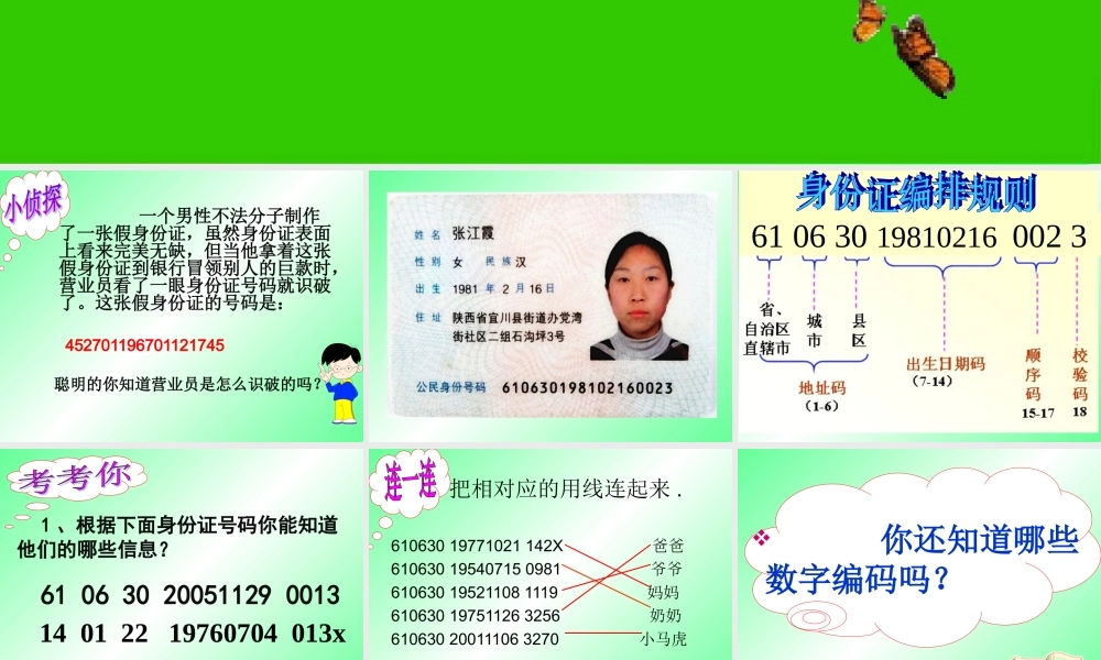 数字与编码身份证