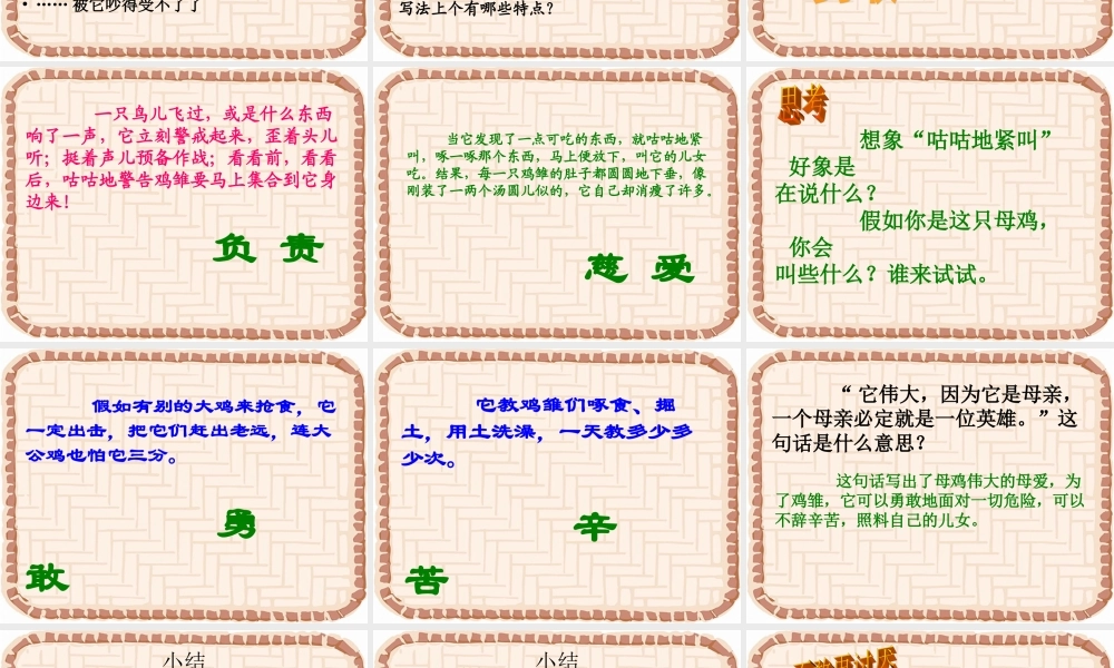 母鸡教学课件
