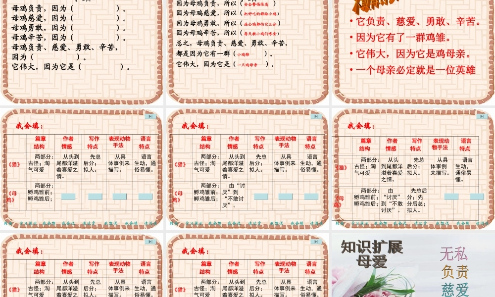 母鸡教学课件
