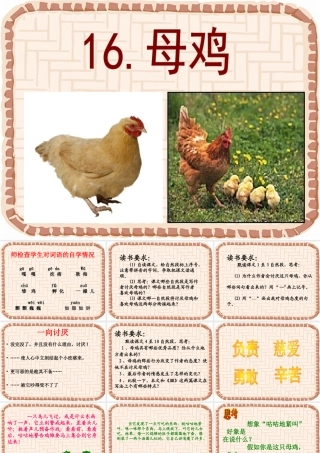 母鸡教学课件
