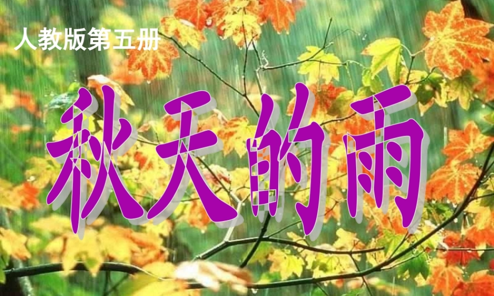 秋天的雨 ()