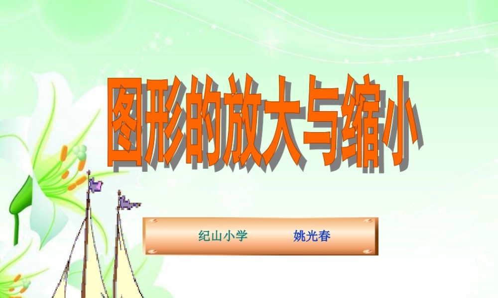 图形的放大与缩小PPT课件[1]2
