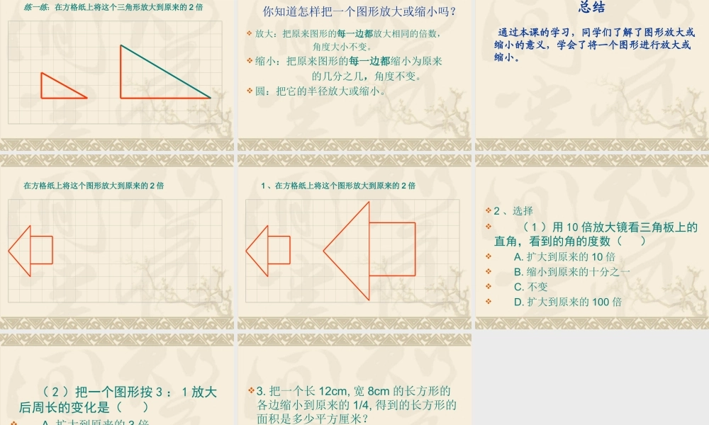 图形的放大与缩小PPT课件[1]2