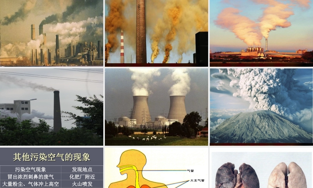 鄂教版小学科学五年级下册《我们需要清新的空气》课件