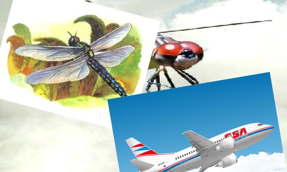 综合实践课：认识小动物PPT