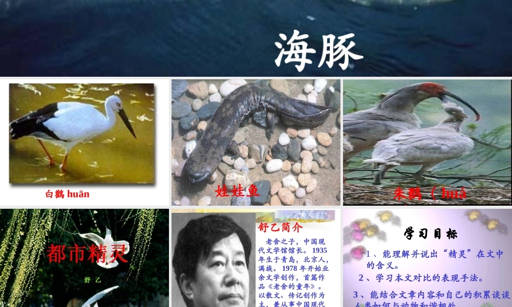 都市精灵课件