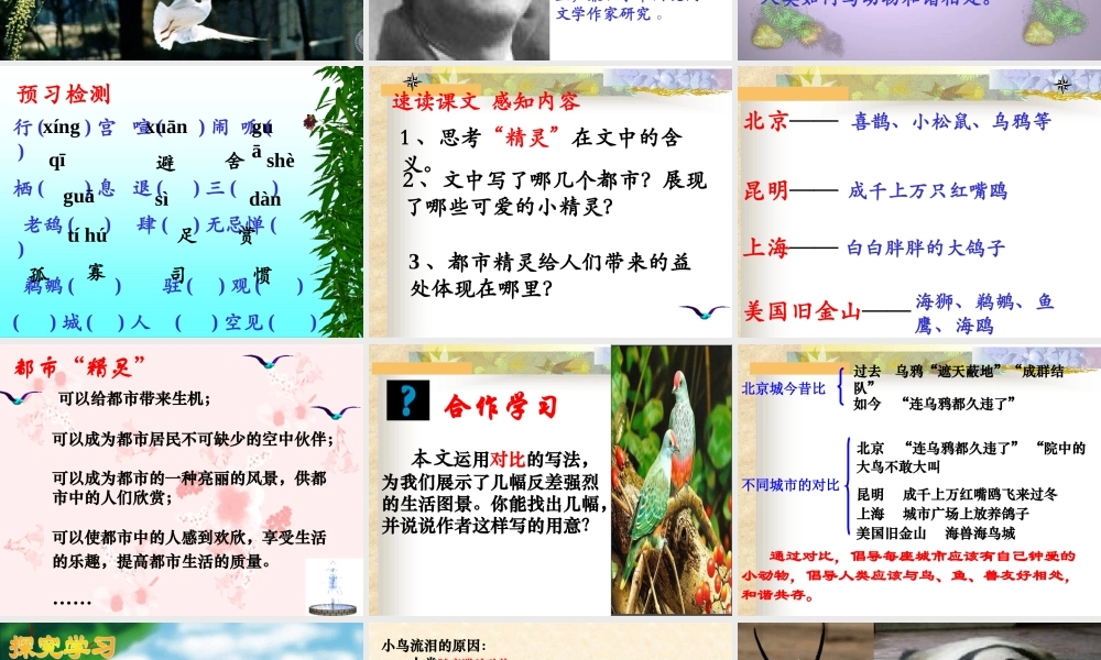 都市精灵课件