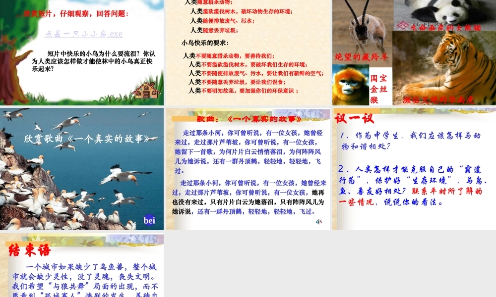 都市精灵课件