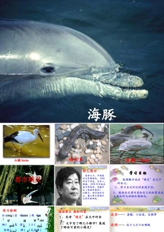 都市精灵课件