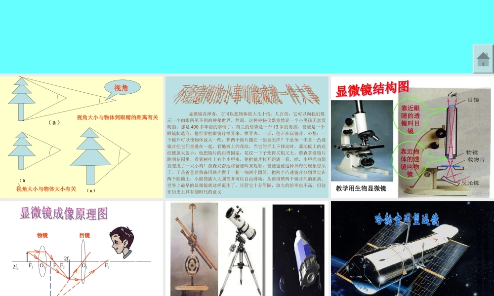 显微镜和望眼镜