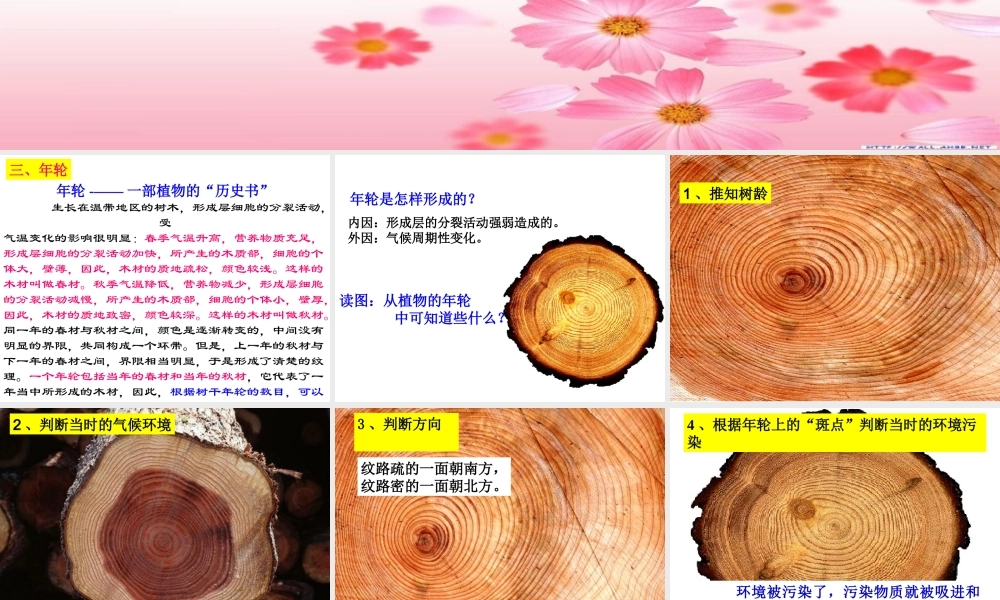 植物体中物质的运输(第二课时)