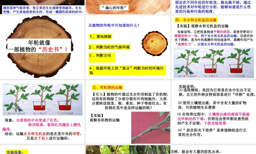 植物体中物质的运输(第二课时)