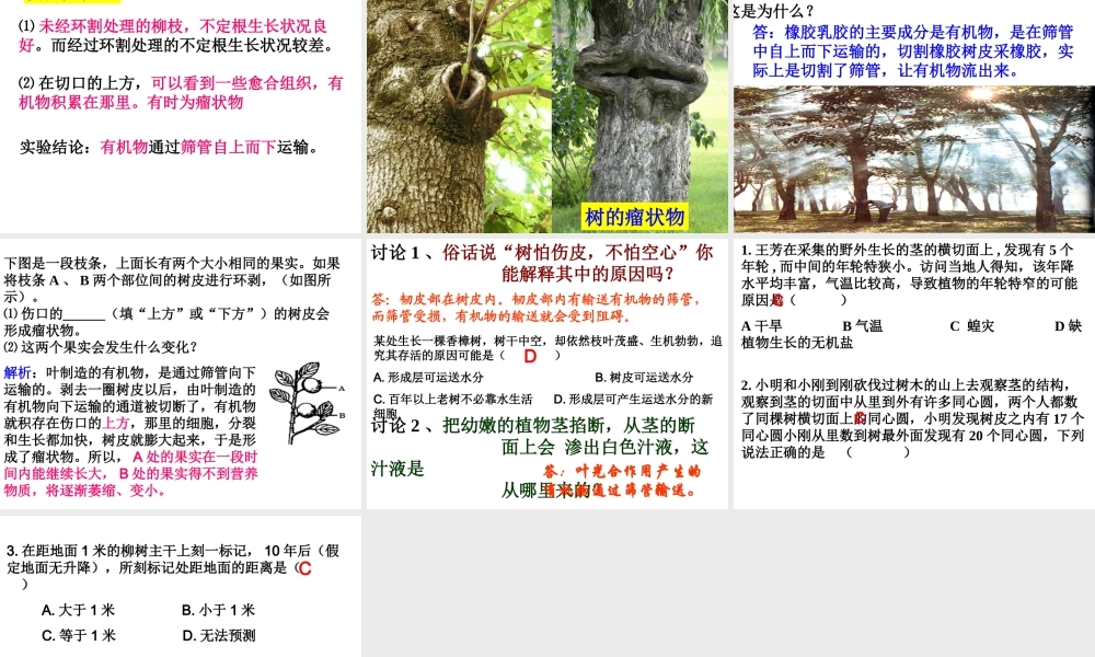 植物体中物质的运输(第二课时)