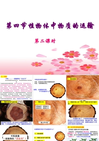 植物体中物质的运输(第二课时)
