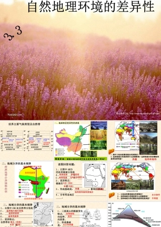 自然地理环境的差异性