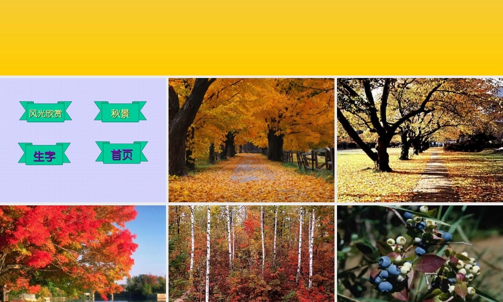 人教课标版小学语文二年级上册第一组01　秋天的图画课件