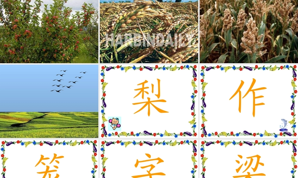 人教课标版小学语文二年级上册第一组01　秋天的图画课件