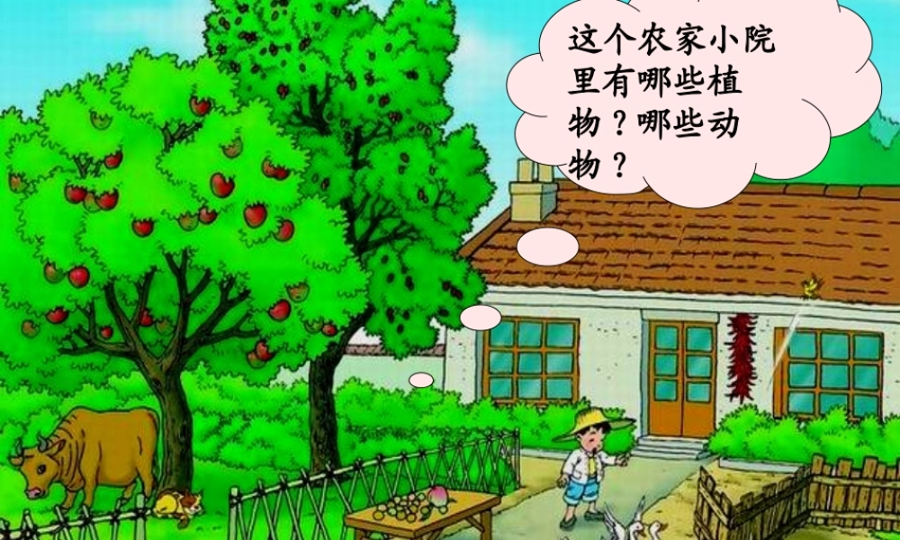 《比一比》课件 (2)