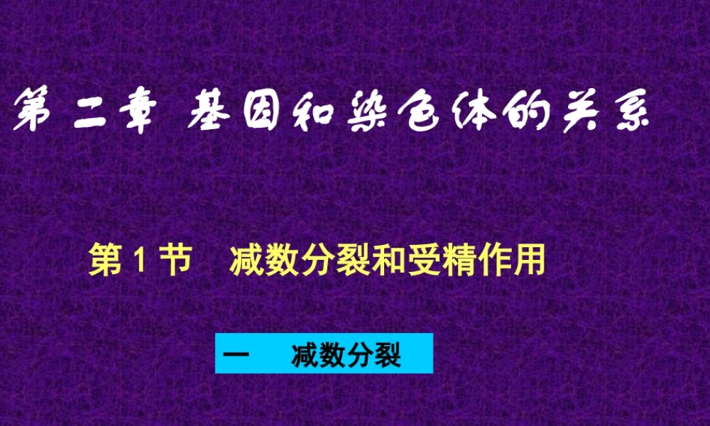 减数分裂和受精作用理