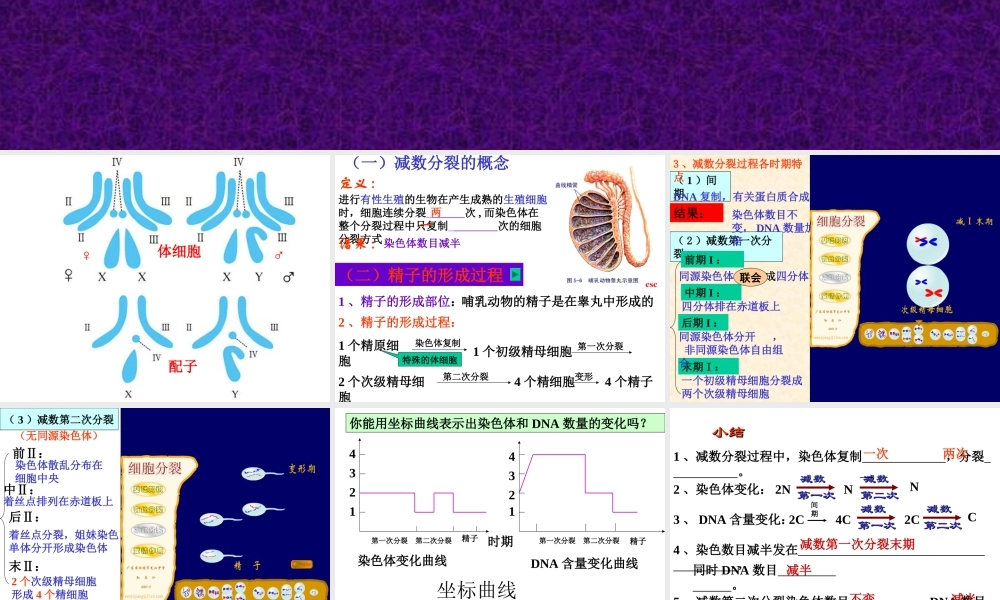 减数分裂和受精作用理