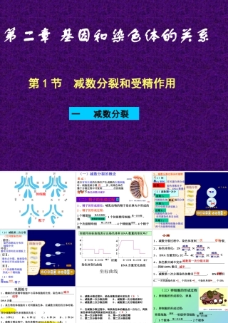 减数分裂和受精作用理