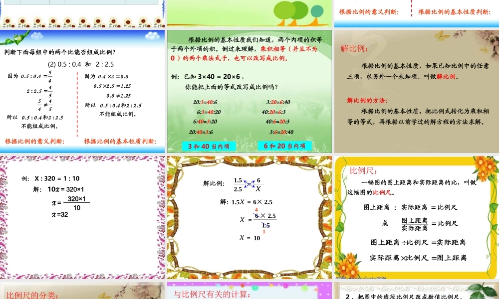 人教版六年级数学下册第六单元第十三课时_比和比例—比例