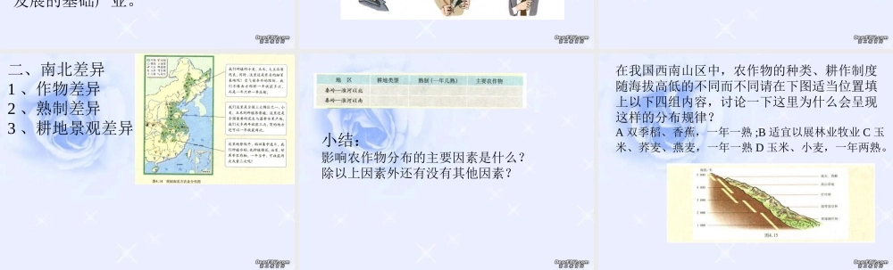 因地制宜发展农业八年级地理上册课件示例