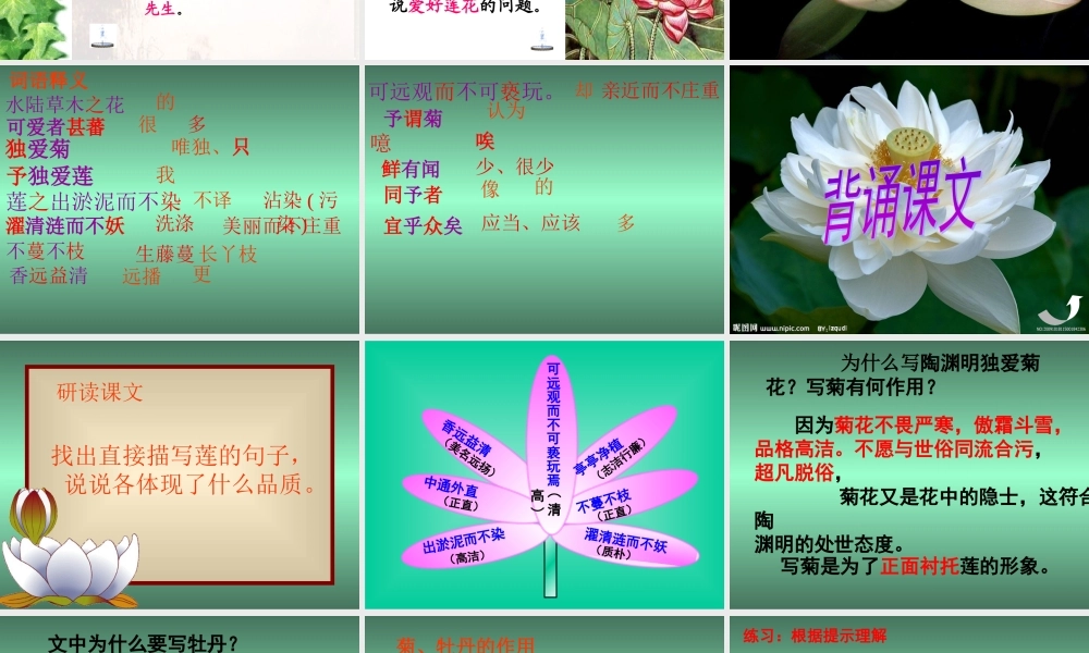 《爱莲说》课件(1)