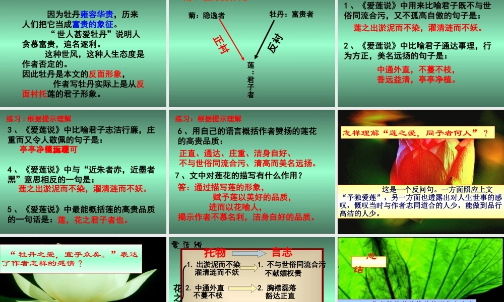 《爱莲说》课件(1)