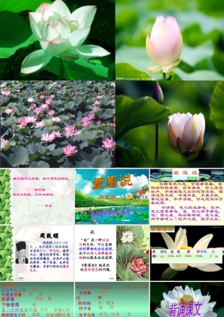 《爱莲说》课件(1)