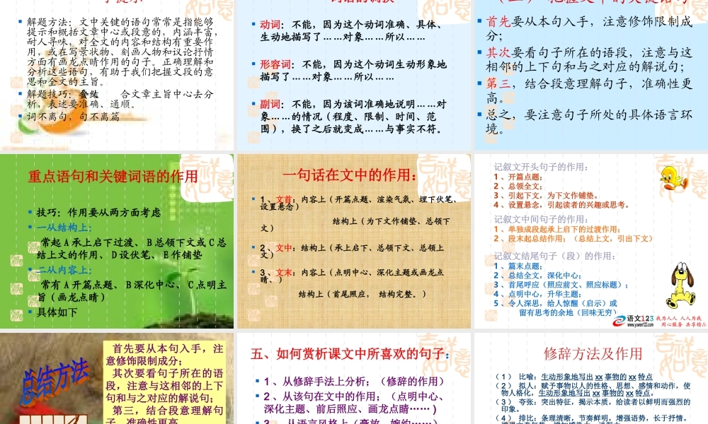 (精品课件)中考记叙文阅读指导(56张) (2)