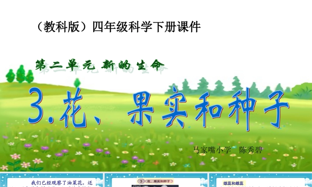 四年级科学下册_花、果实和种子_2课件_教科版
