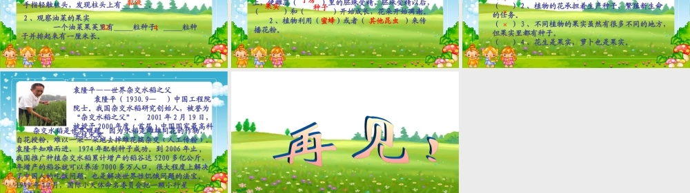 四年级科学下册_花、果实和种子_2课件_教科版