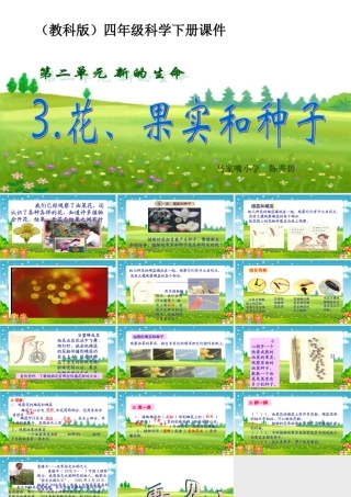 四年级科学下册_花、果实和种子_2课件_教科版