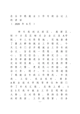 在全市稳就业工作专班会议上的讲话