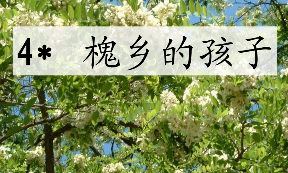 槐乡的孩子(修改)