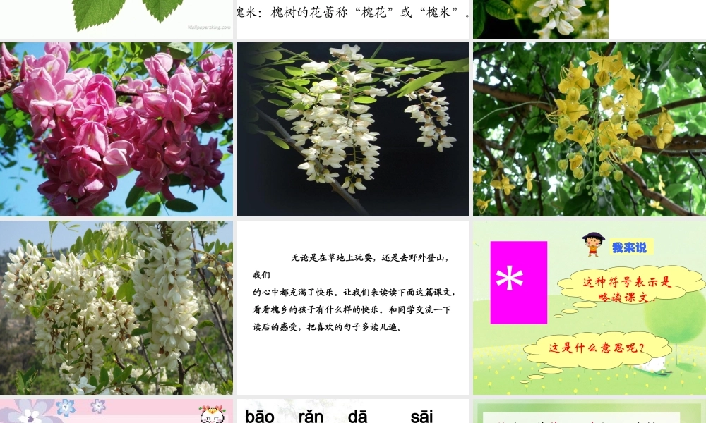 槐乡的孩子(修改)