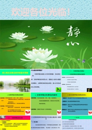 核心概念及概念教学的基本策略