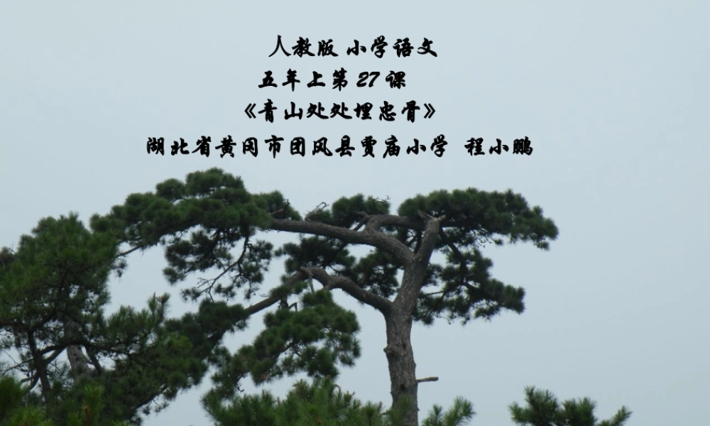 青山处处埋忠骨-徐海舟