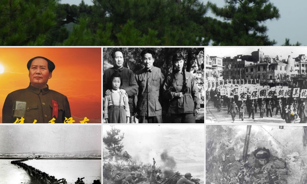 青山处处埋忠骨-徐海舟